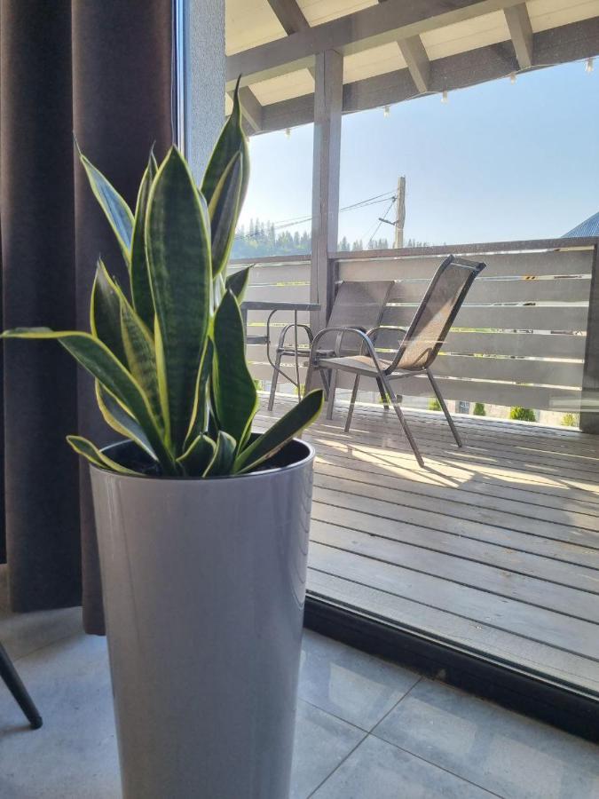 Apartment Prostir 65 Slavske